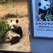 動物と自然・風景と電車や飛行機など333777